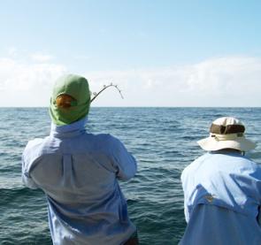 This is what we all want to see on offshore trips! Good sea conditions and bent rods!